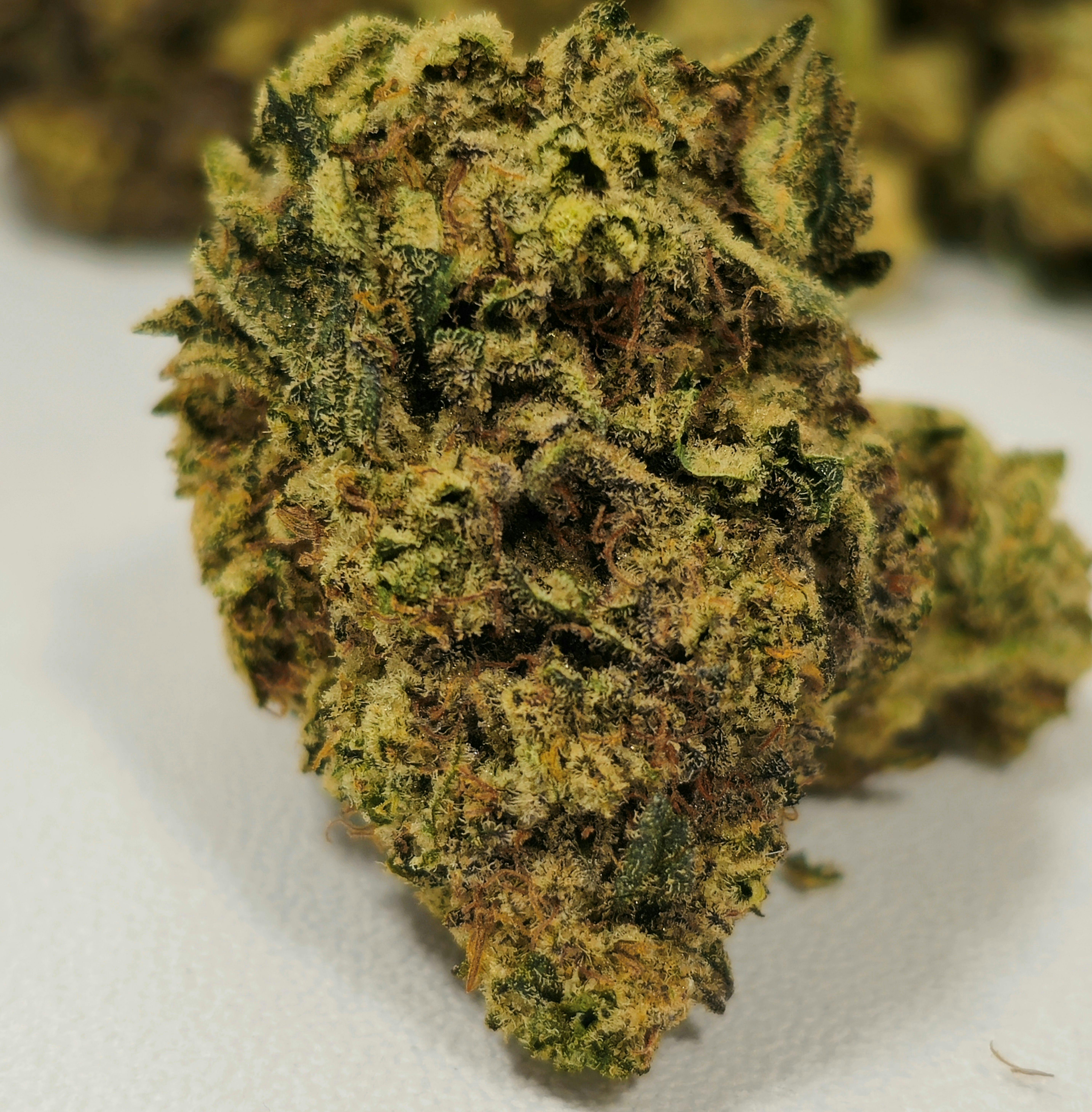 Pavé | Simply Herb | Bud | 3.5g at Dazed Cannabis – Holyoke
