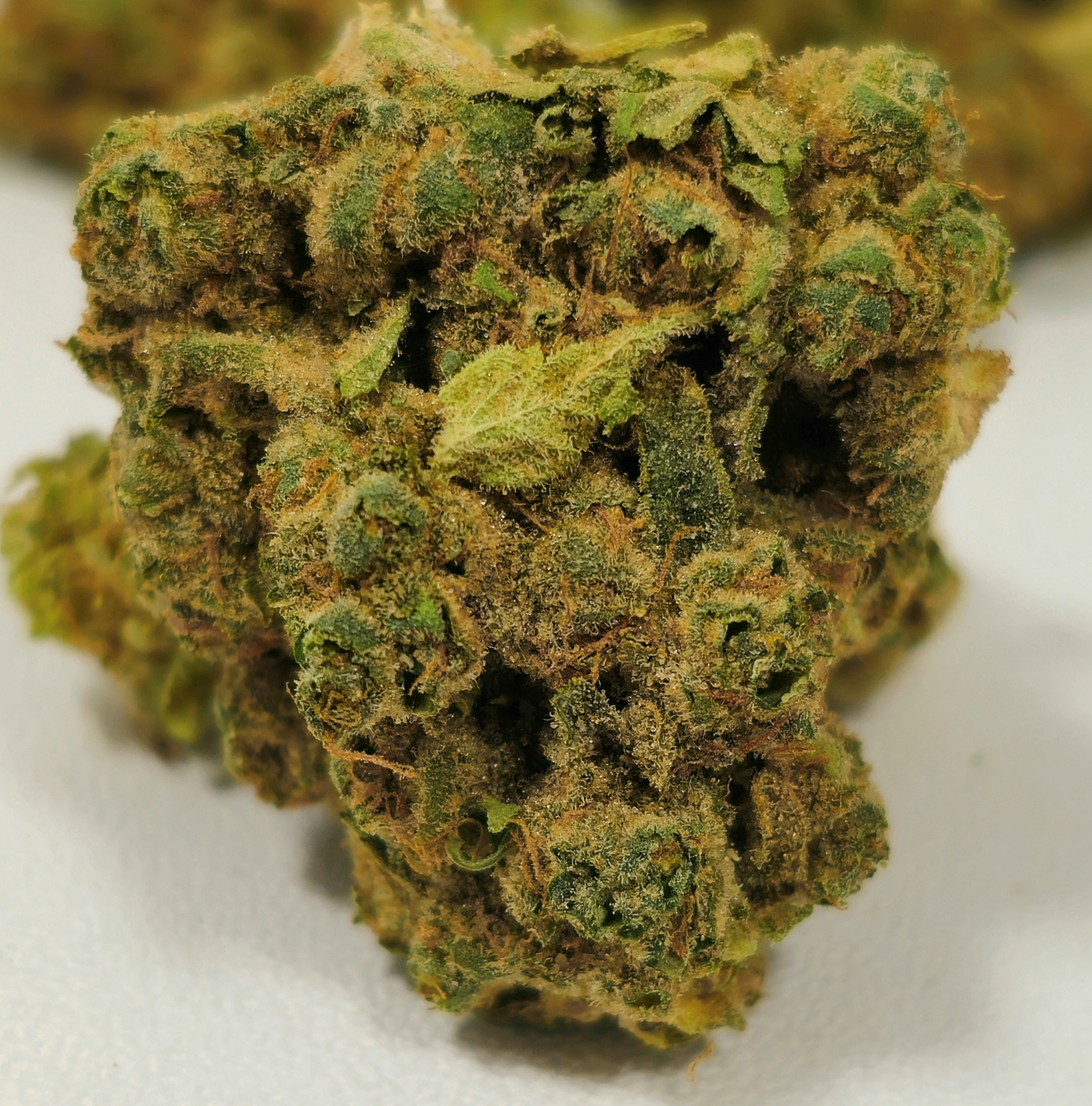 Depth Charge | Ozone | 3.5g