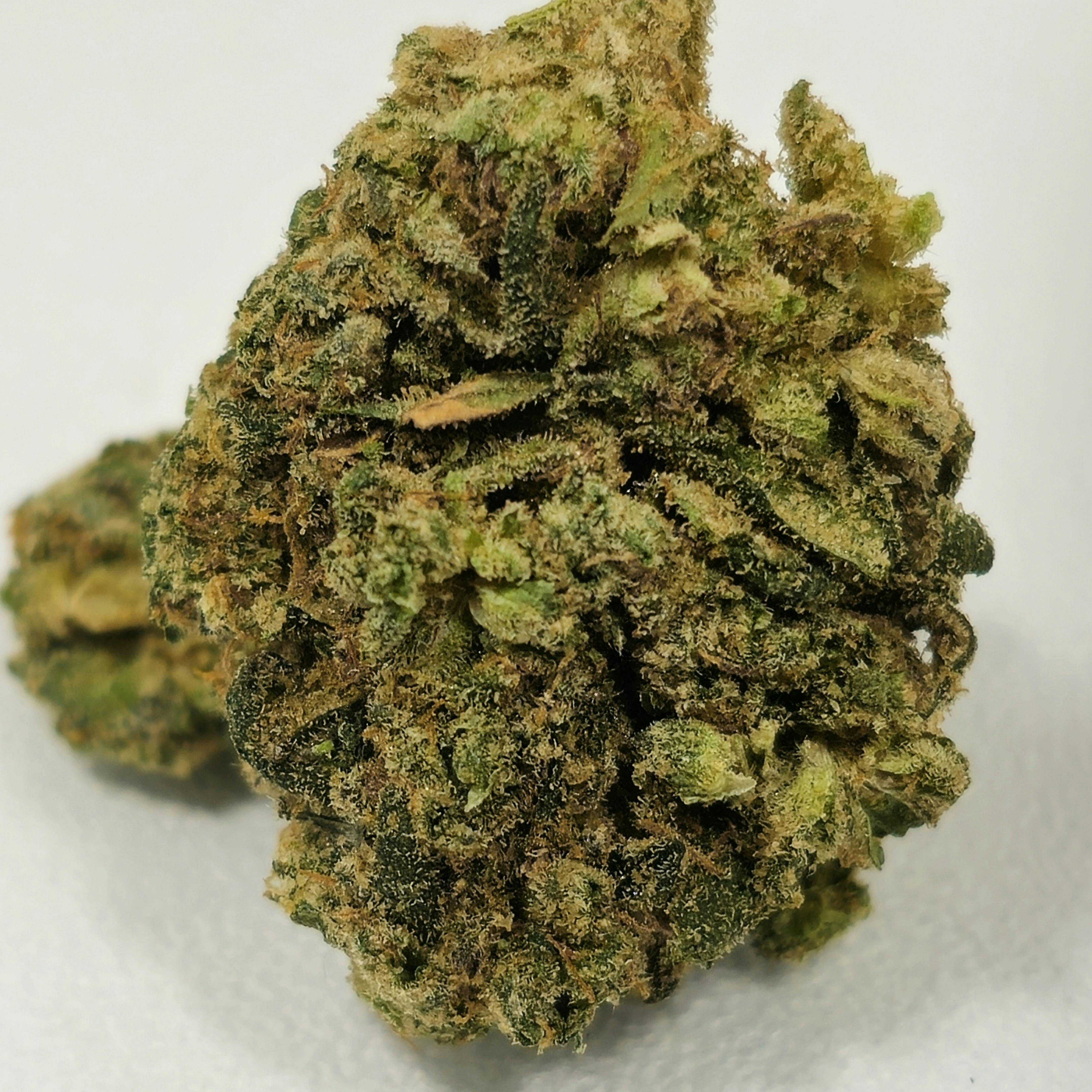 Lemon Fresh | Simply Herb | Bud | 28g/1oz