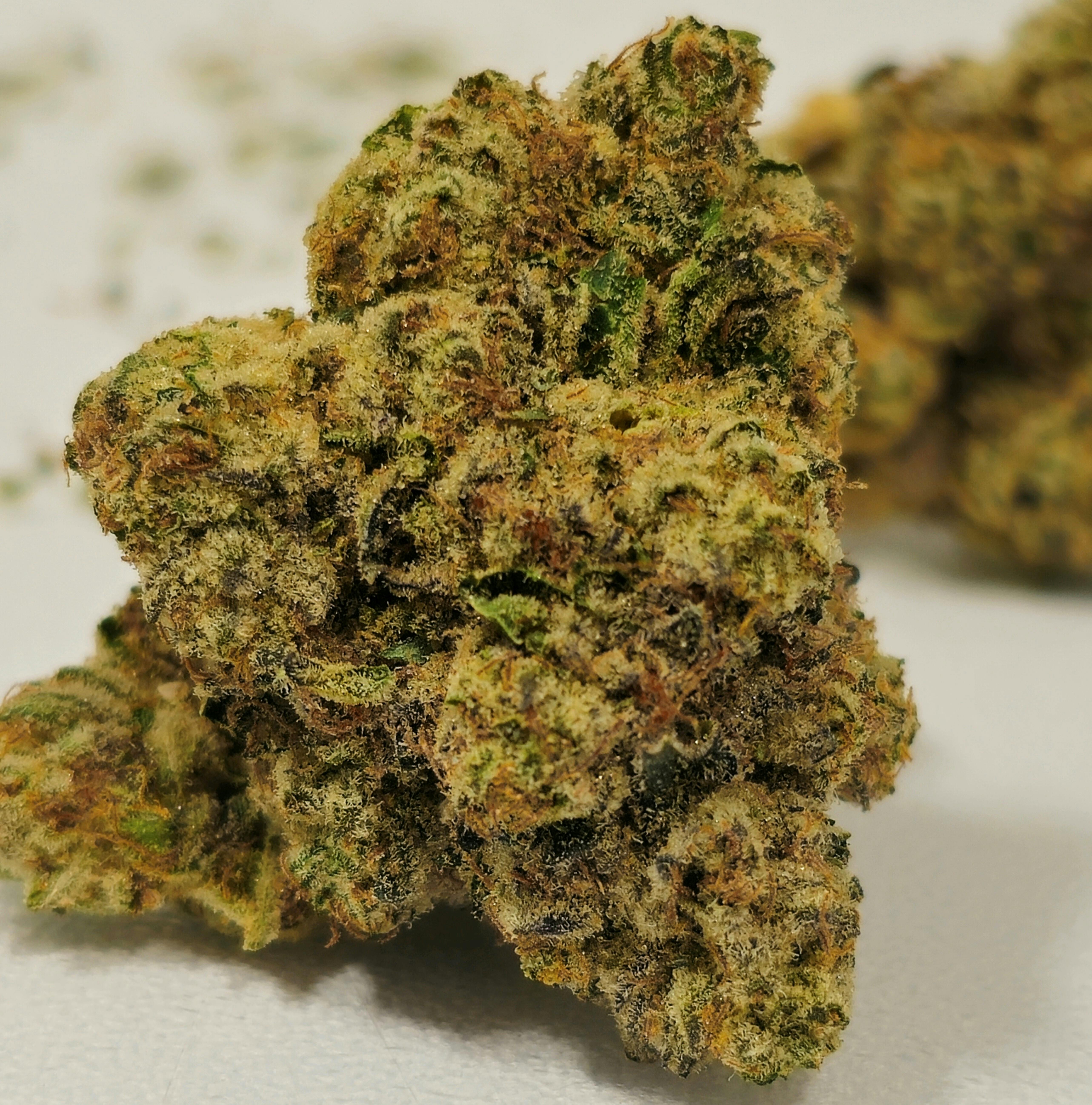 OG Mojito | High Supply | Buds | 14g