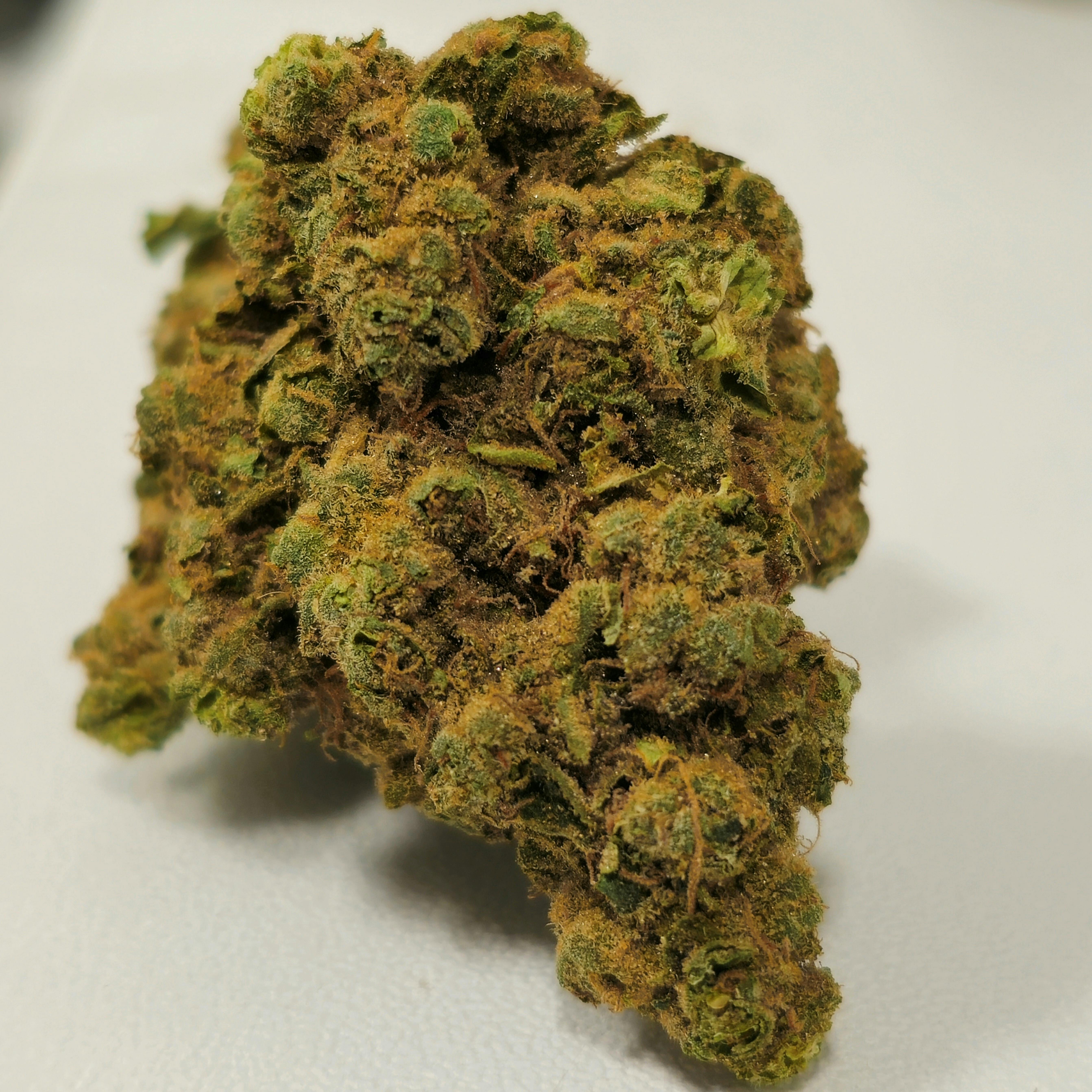 Depth Charge | Ozone | Buds | 7g