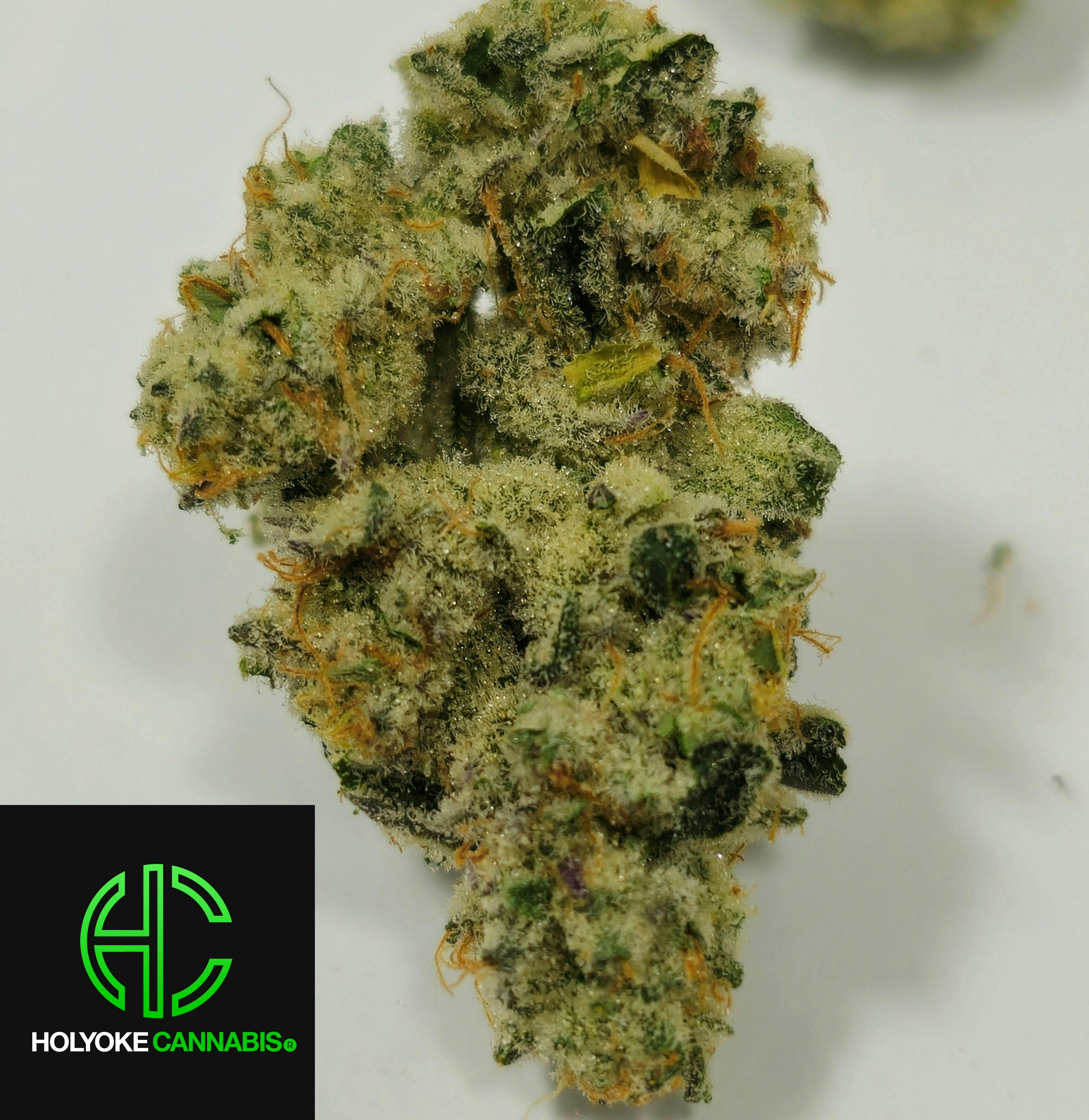 Cap Junky | Holyoke Cannabis | Premium Bud | 3.5g