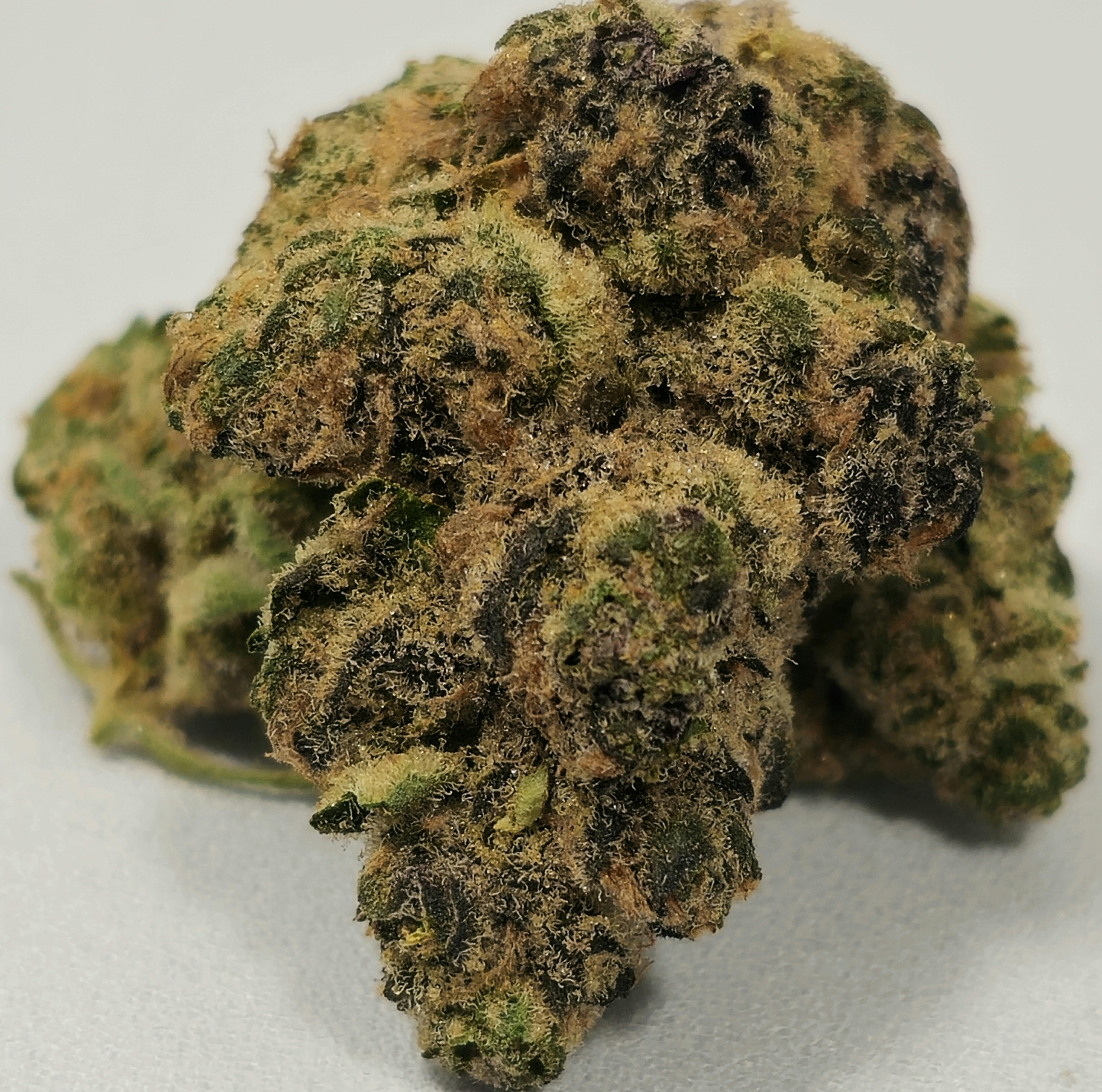 Sour Orange | Simply Herb | 3.5g at Dazed Cannabis – Holyoke
