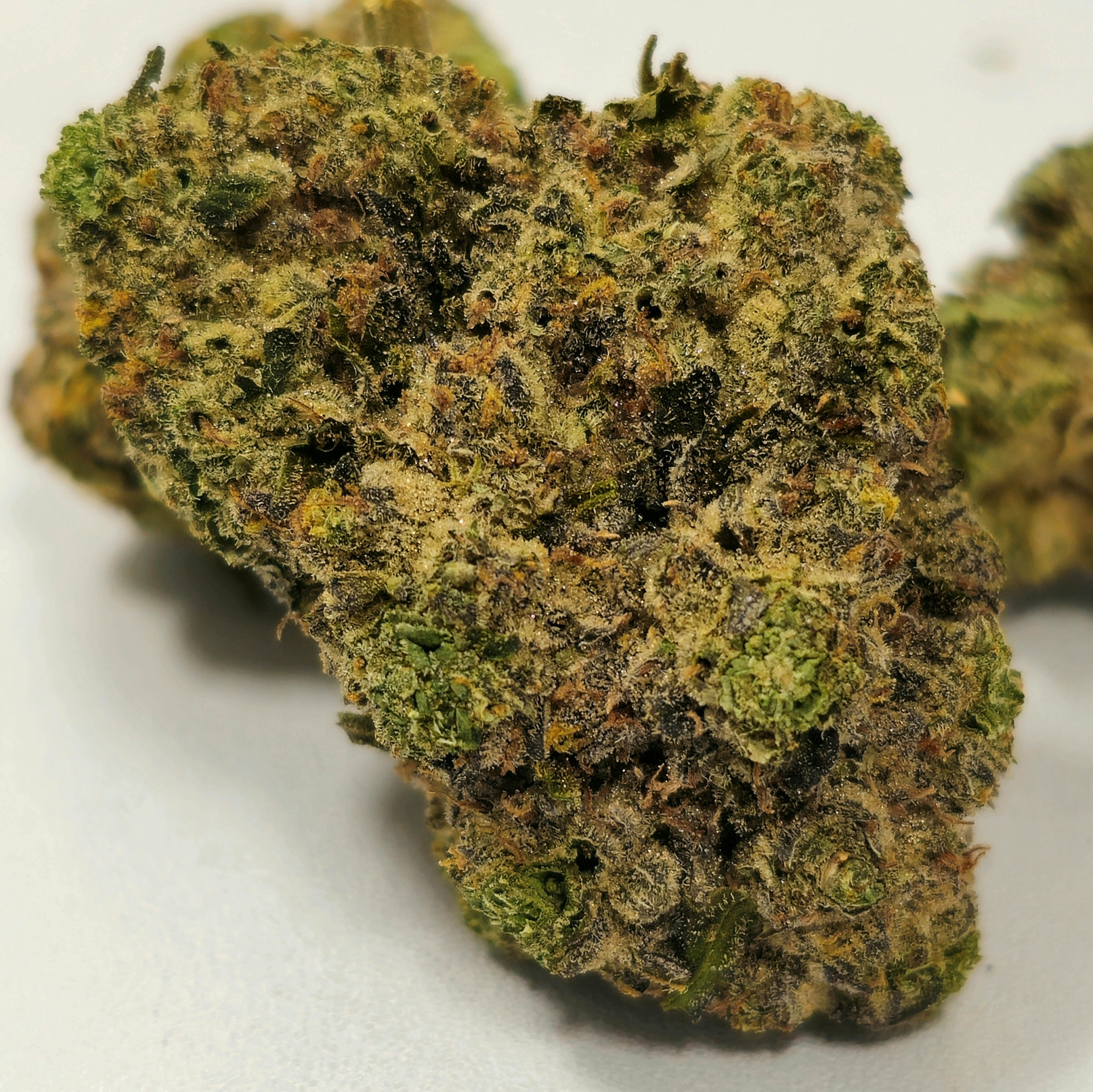 White Hot Guava 14 x Black Velvet | In House | Buds | 14g