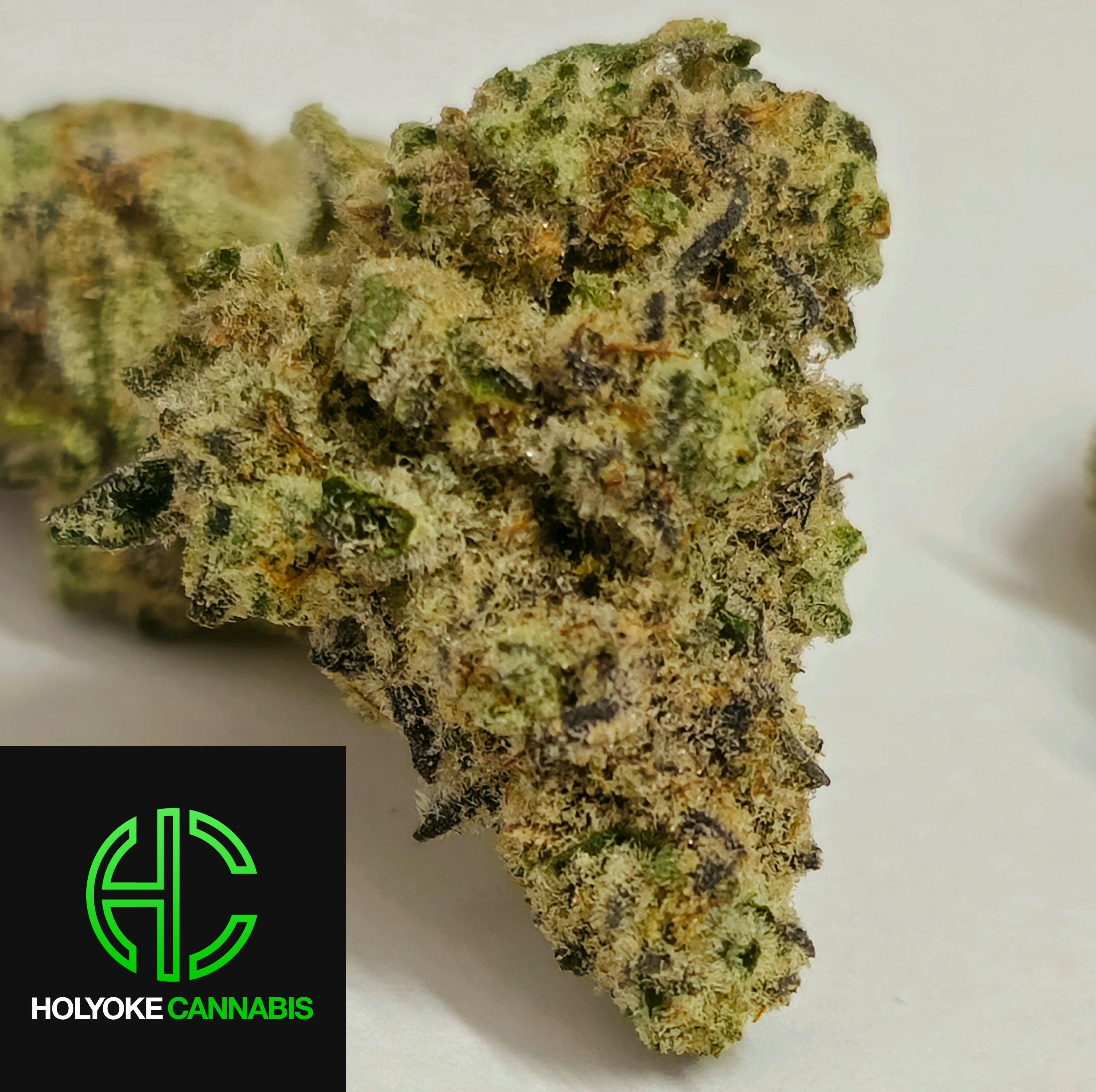 Cap Junky | Holyoke Cannabis | Premium Bud | 14g
