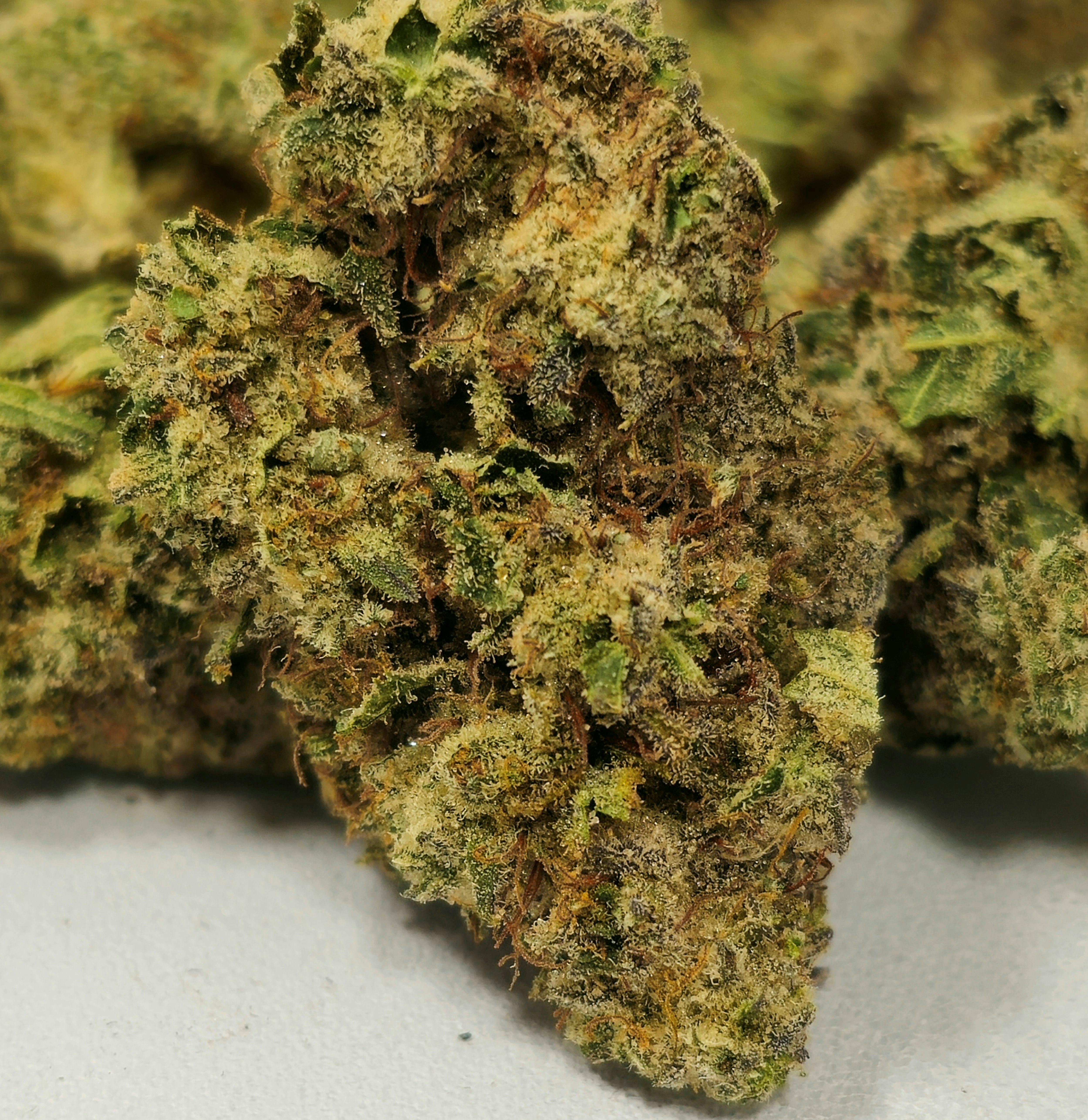 Glueberry x Wifi OG | Old Pal | Buds | 28g