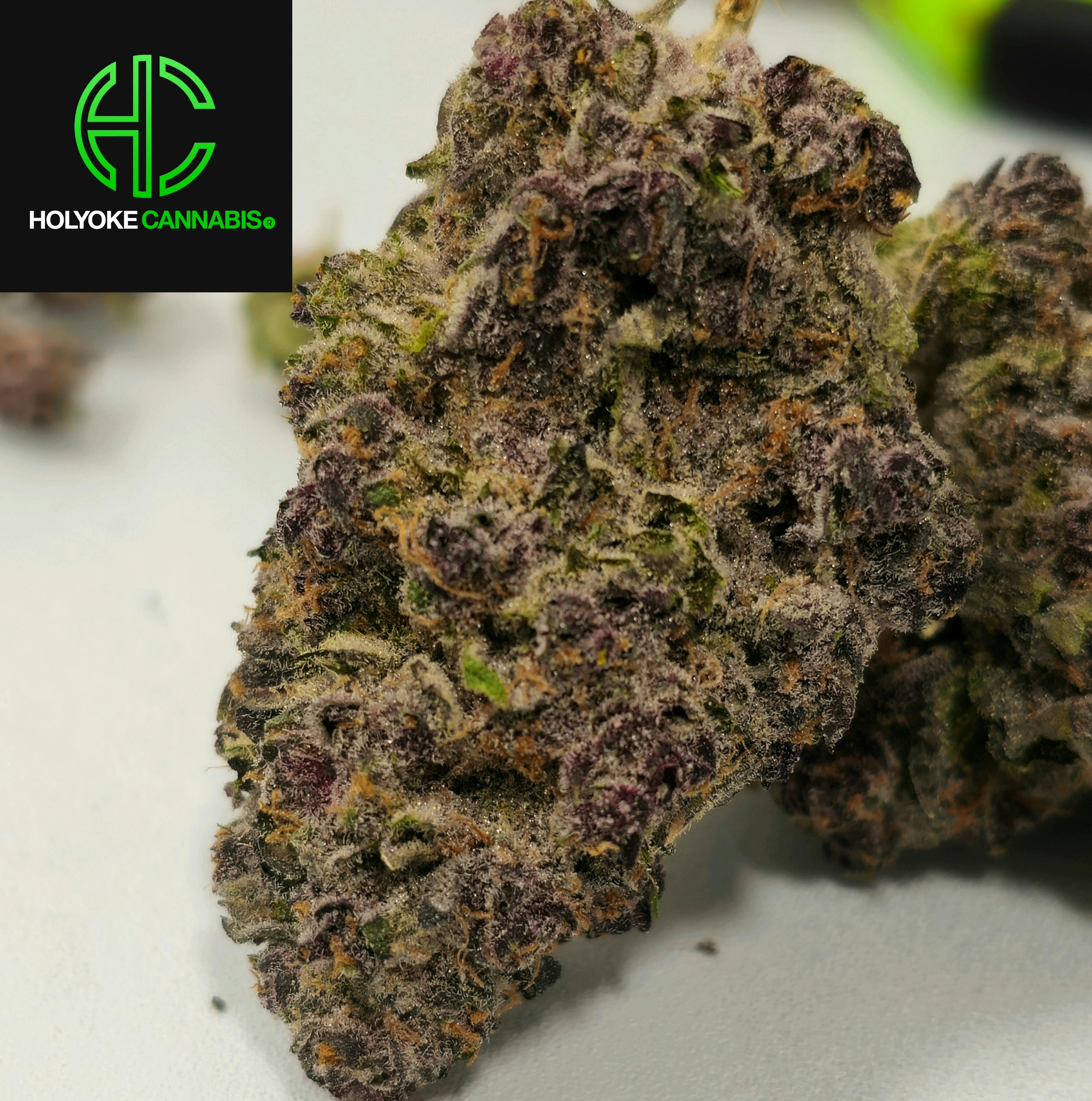 Superboof | Holyoke Cannabis | Premium Bud | 3.5g at Dazed Cannabis – Holyoke