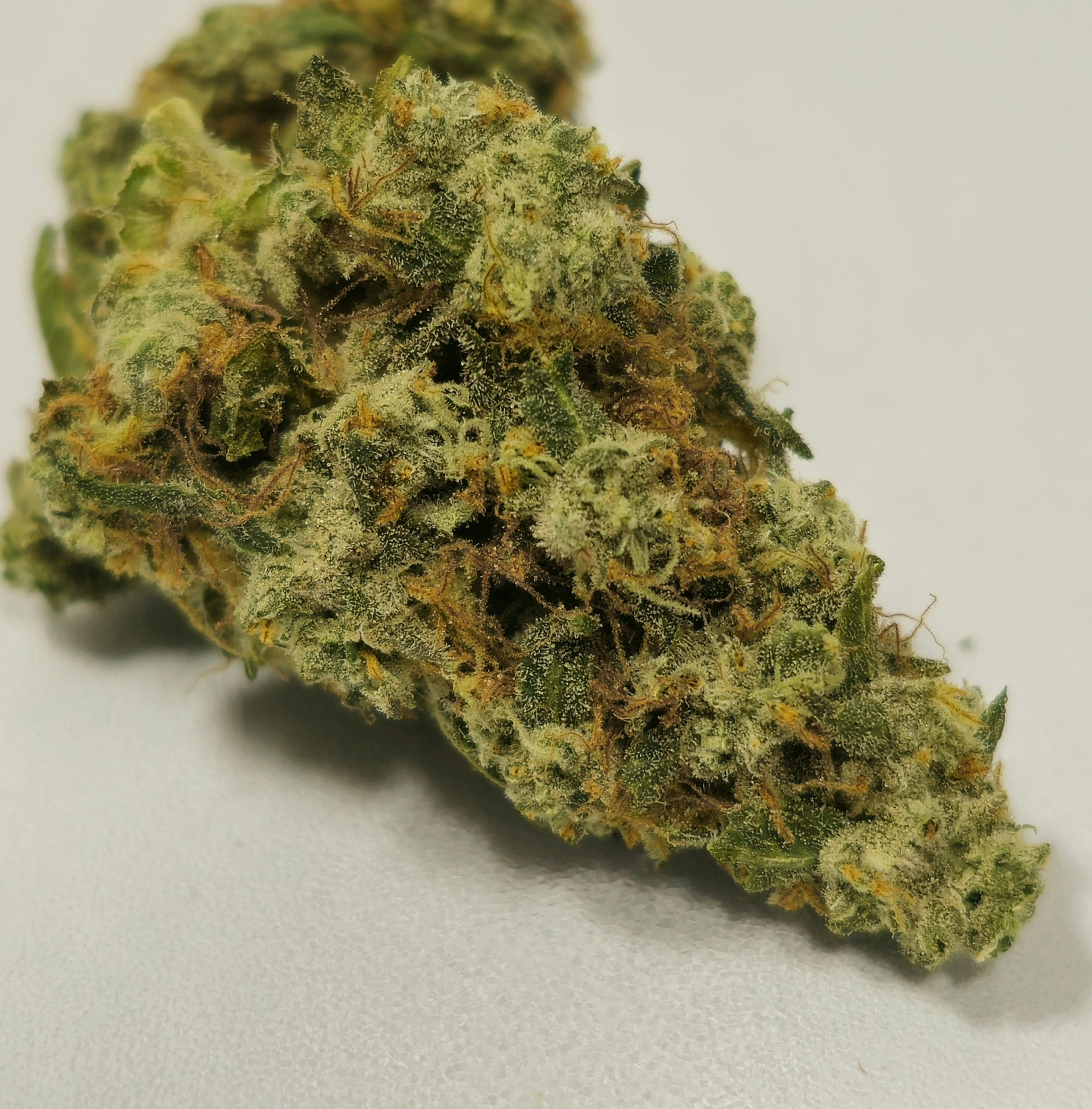 Bob Hope | High Supply | Bud | 7g