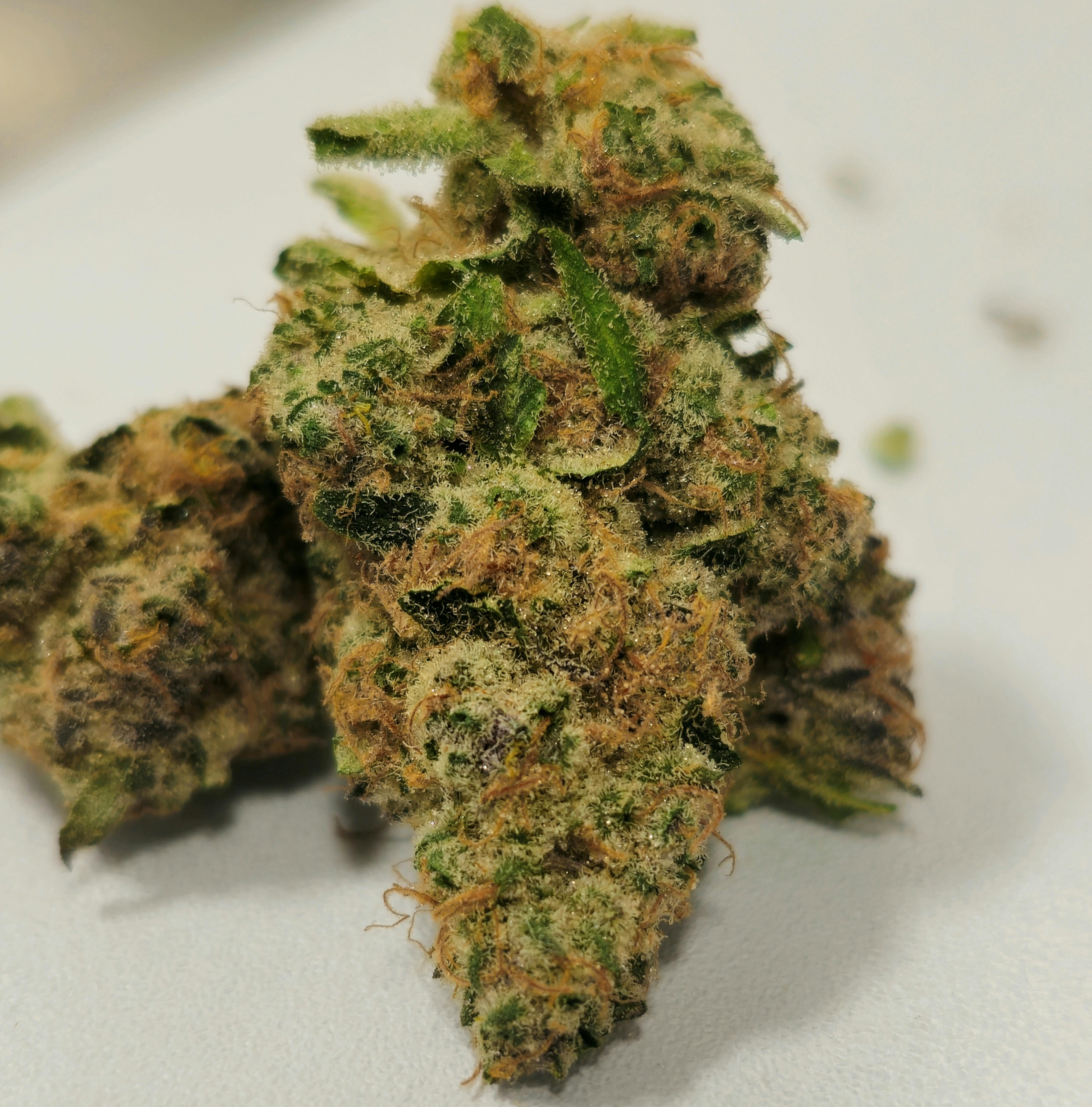 Blockberry | CMS | Buds | 3.5g
