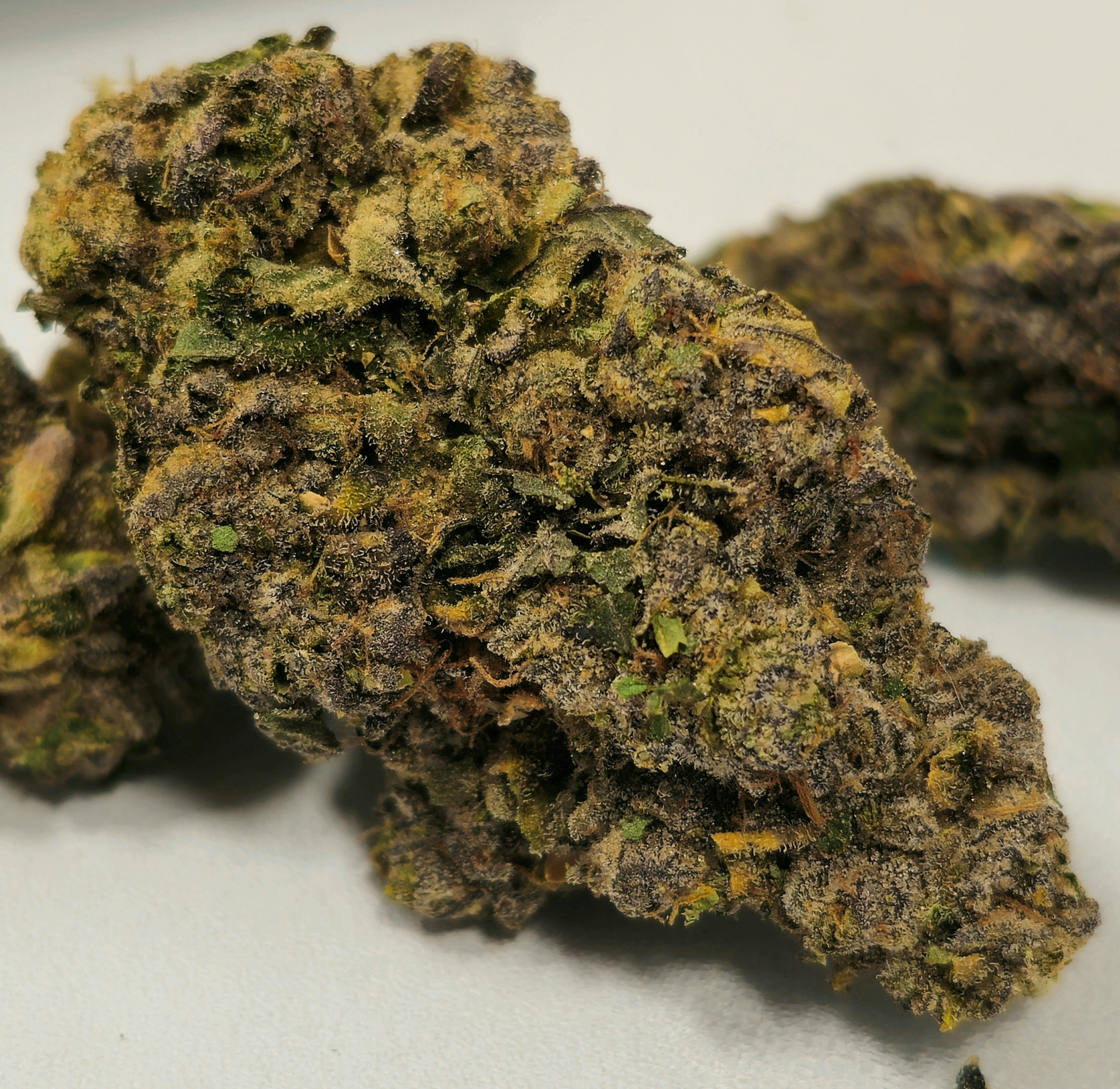 Gotti Belts | In-House | Buds | 28g