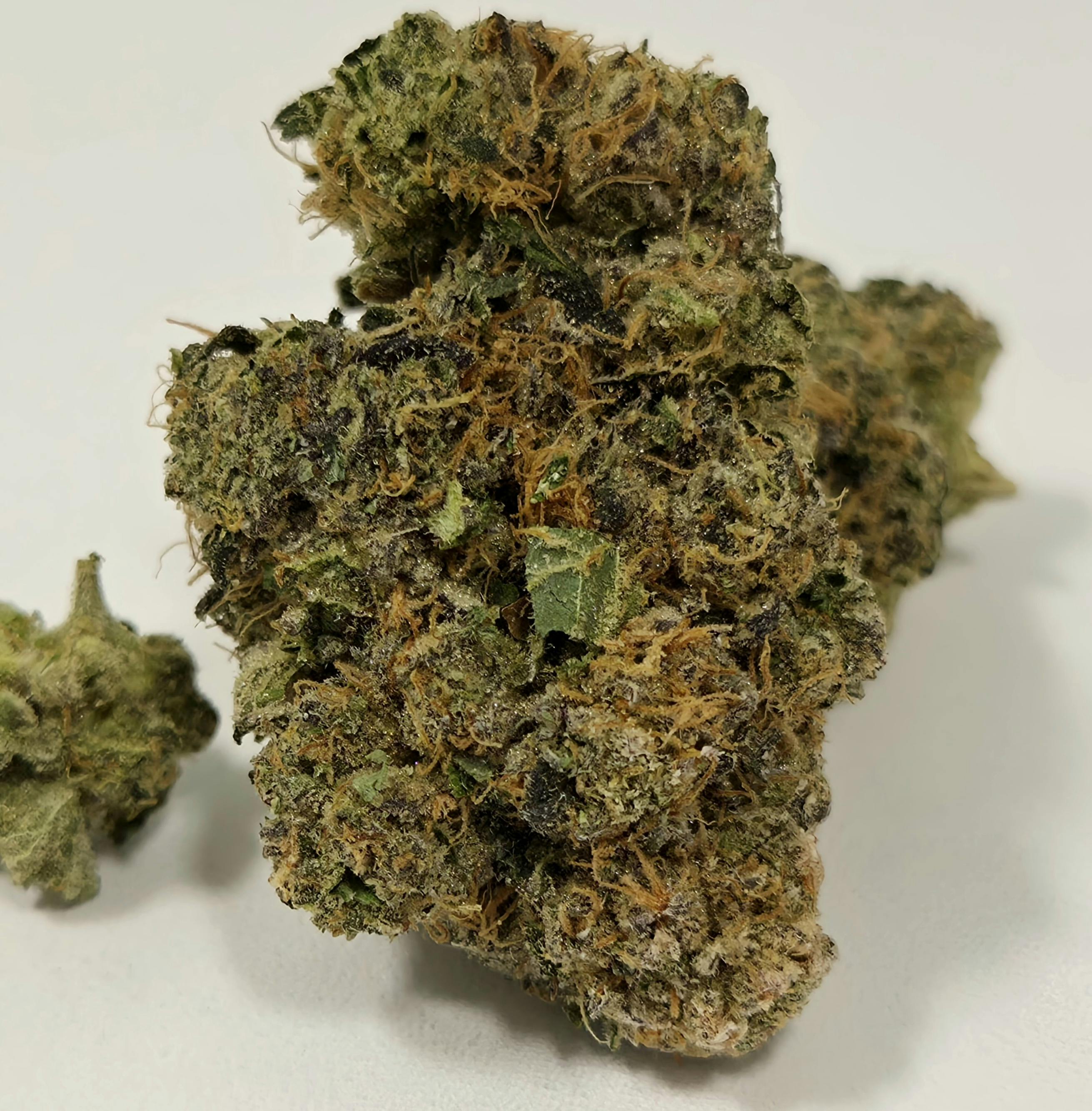 Black Maple | CMS | Buds | 3.5g