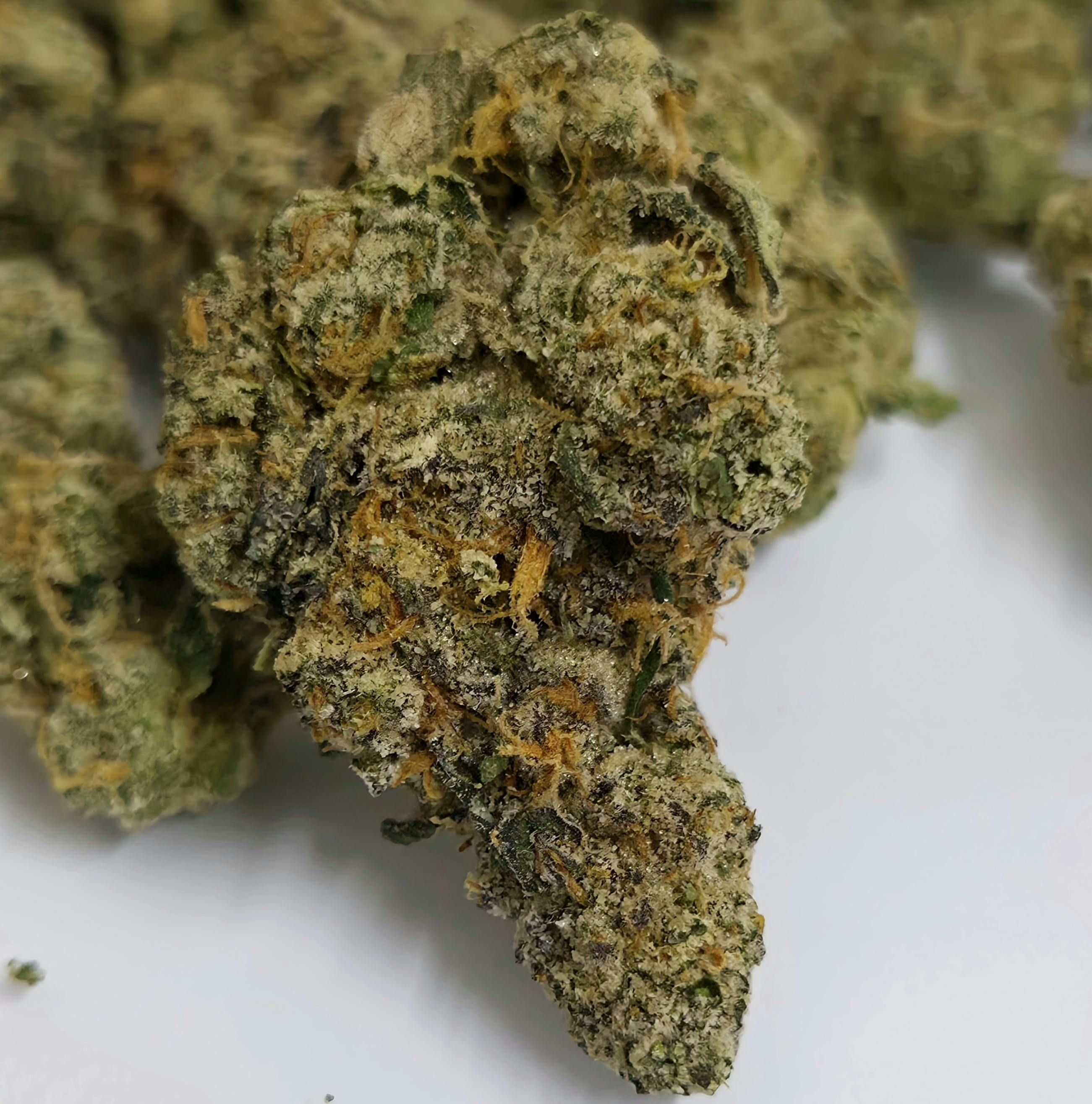 Platinum Apples | Old Pal | Buds | 28g