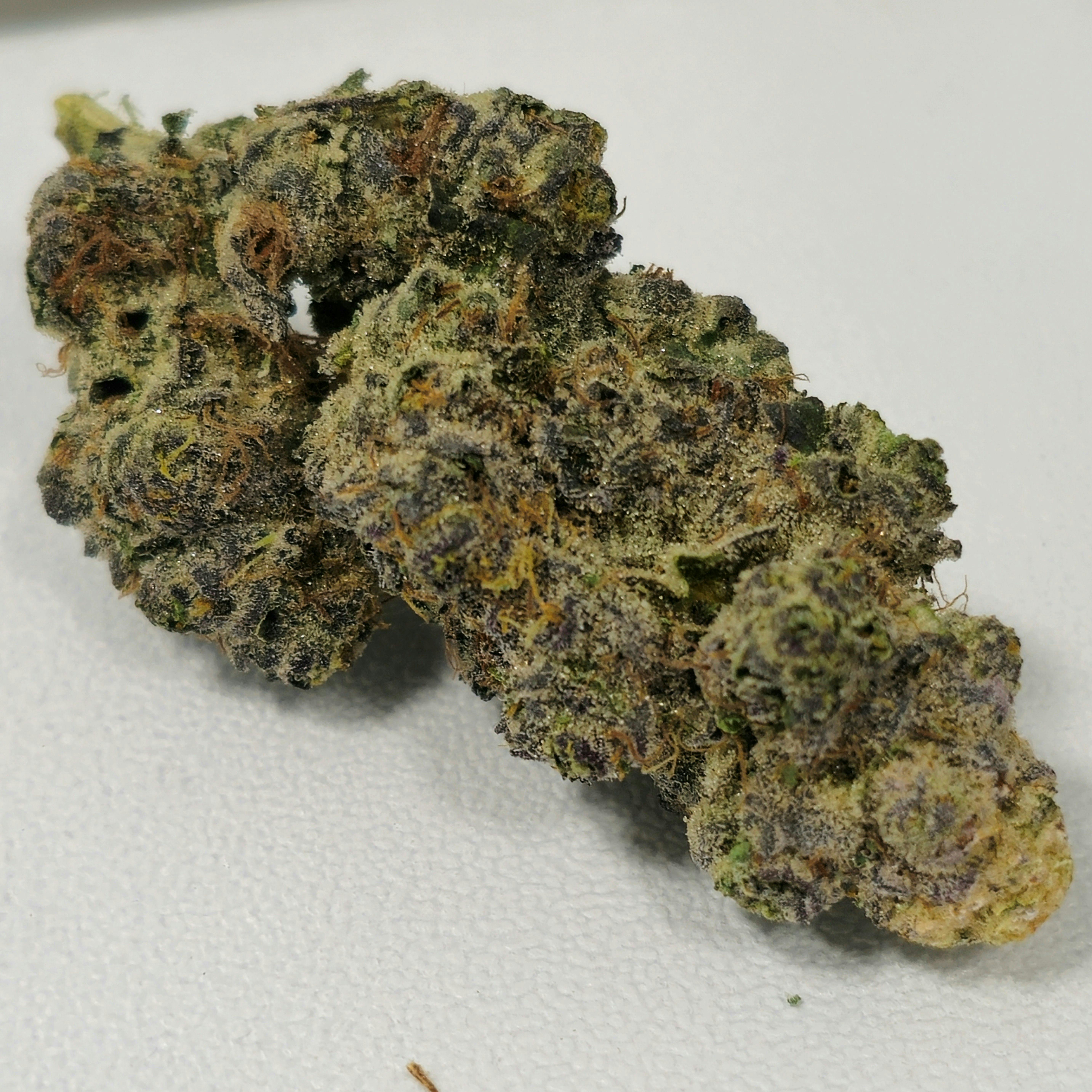 Malibu Marker | In House | Buds | 28g