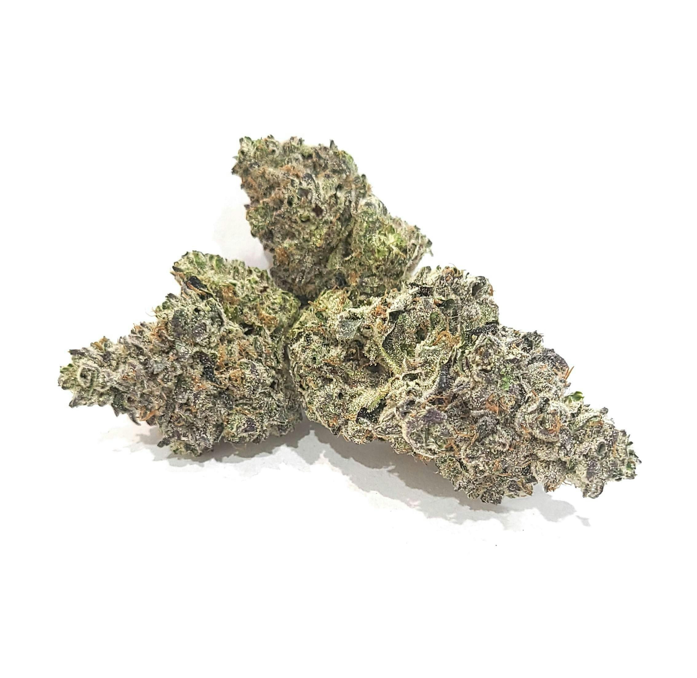 Govern Mint Oasis