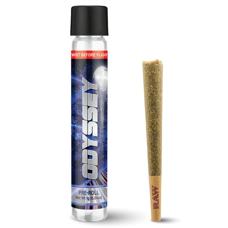 G13 | Odyssey