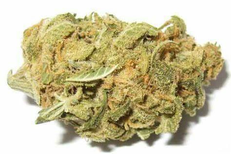 Canal Street Runtz | Sozo cannabis product