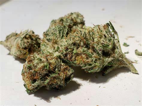 Strawberry Sanders | Sozo