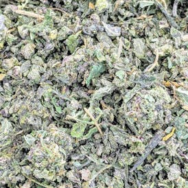 Mellowz Shake Oz | Sozo
