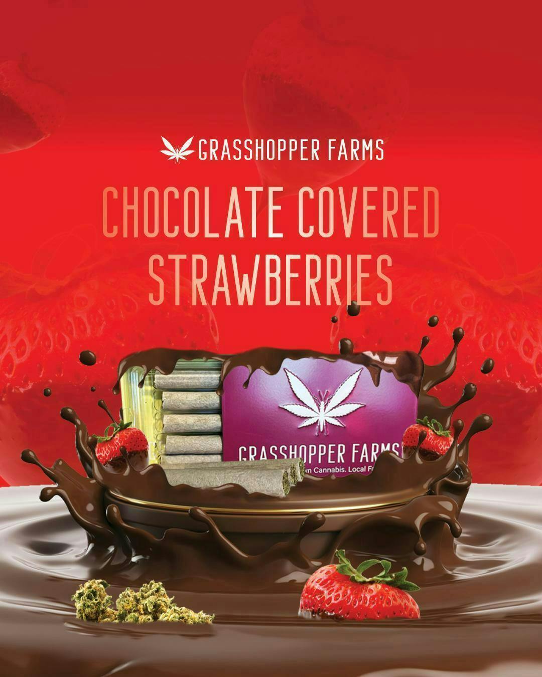 Chocolate Covered Strawberry | Infused Joints | 1g each | 5pk