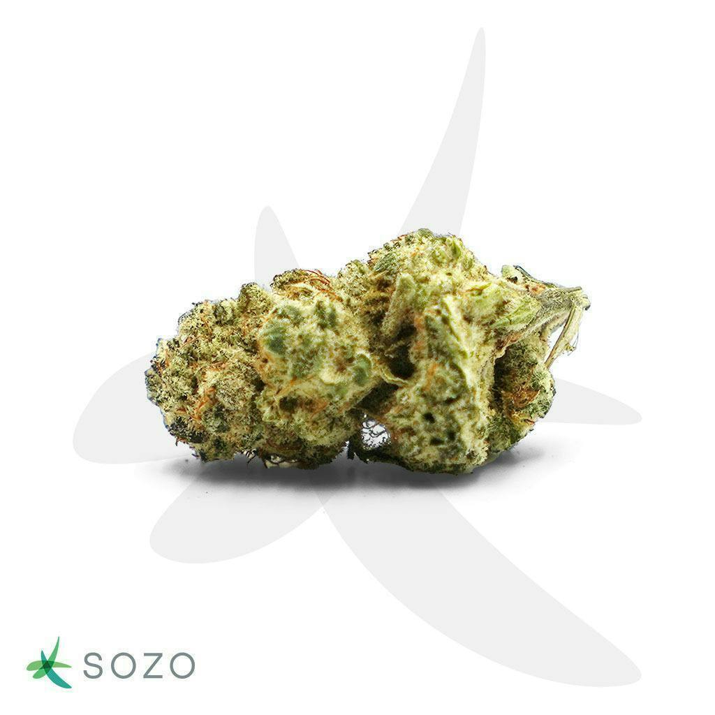 Lilac Diesel Smalls | Sozo