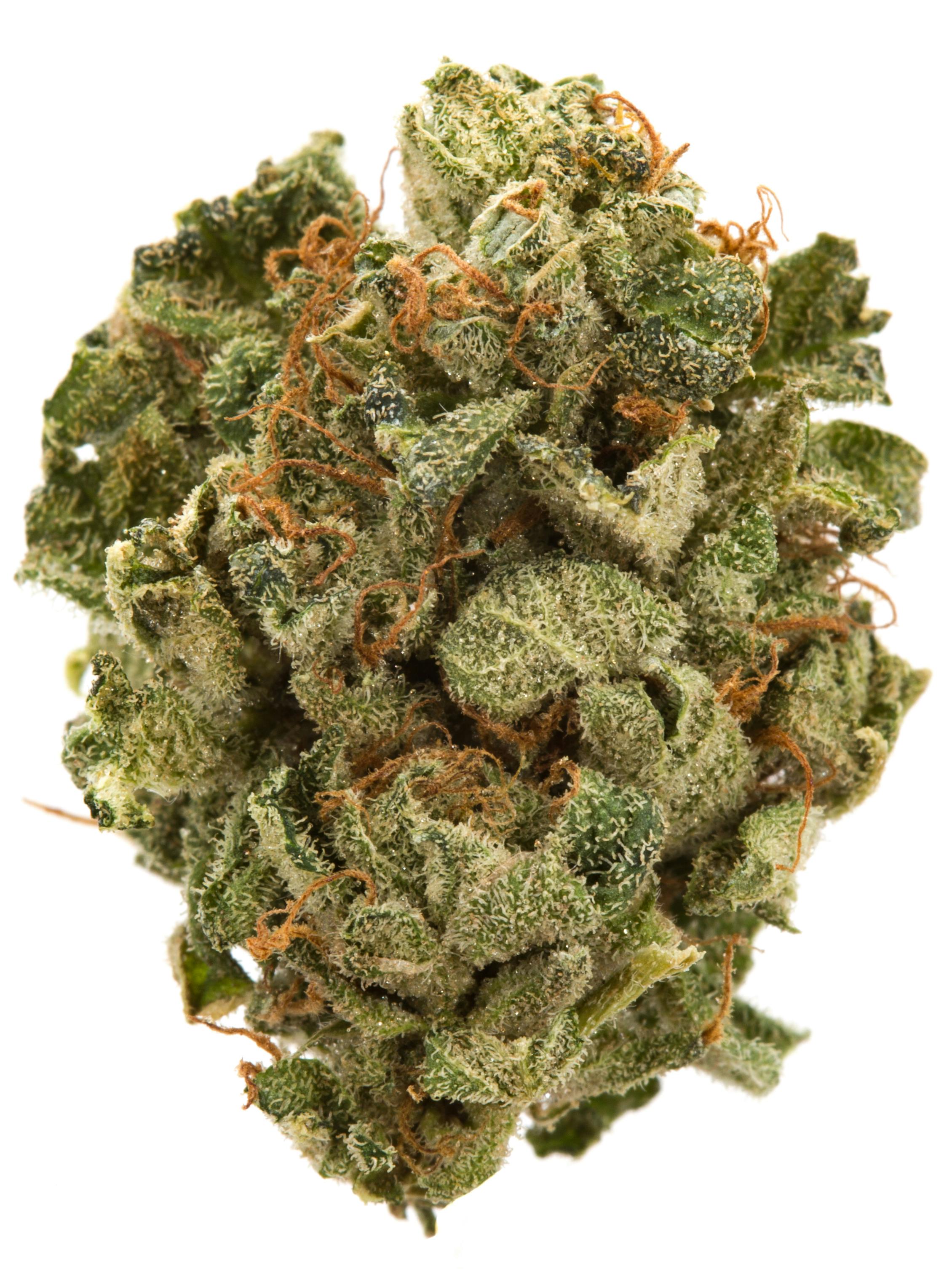 Fruity Pebbles | Dragonfly at Great Lakes Provision Center
