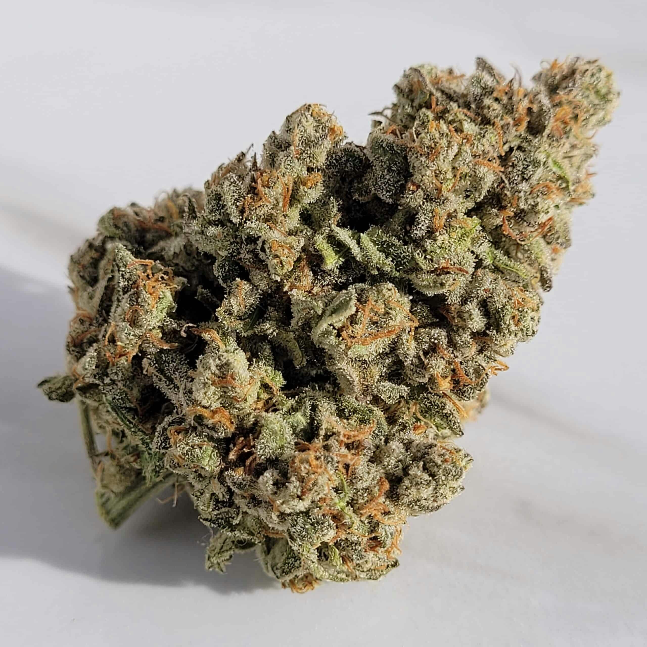 Strawberry Sanders Smalls | Sozo