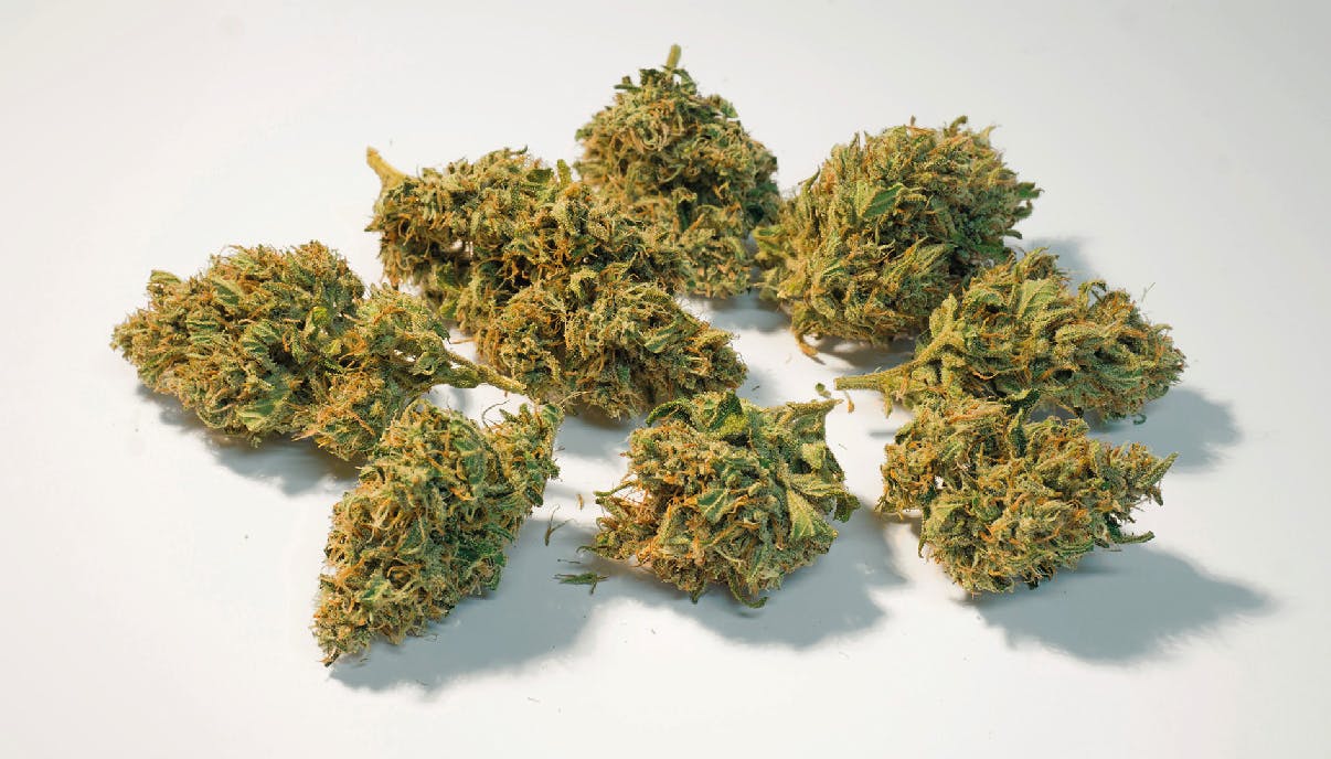 Jokerz | Dragonfly at Great Lakes Kush