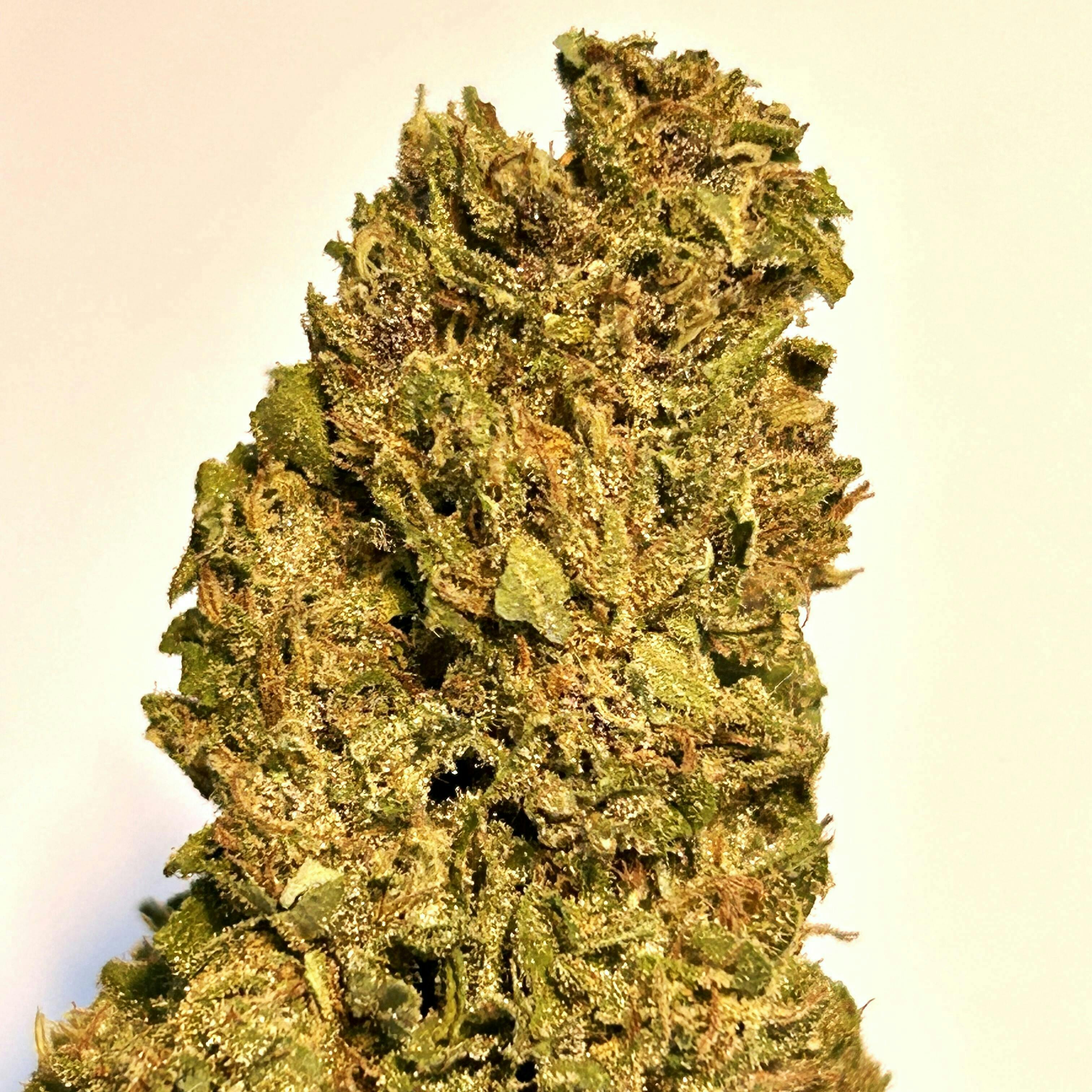 Face Plant OG | Dragonfly