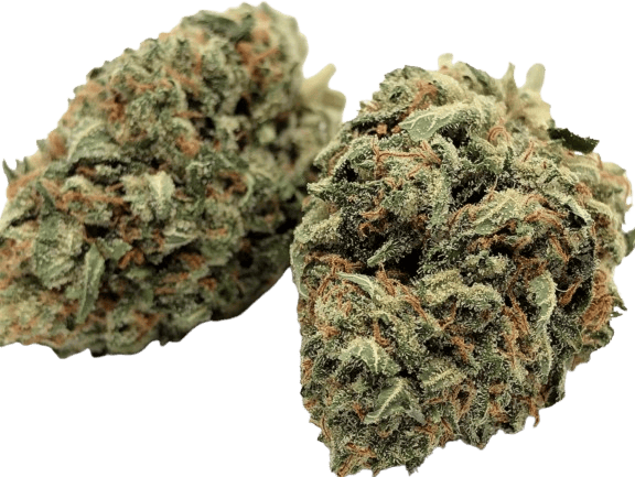Blue Dream | Sozo