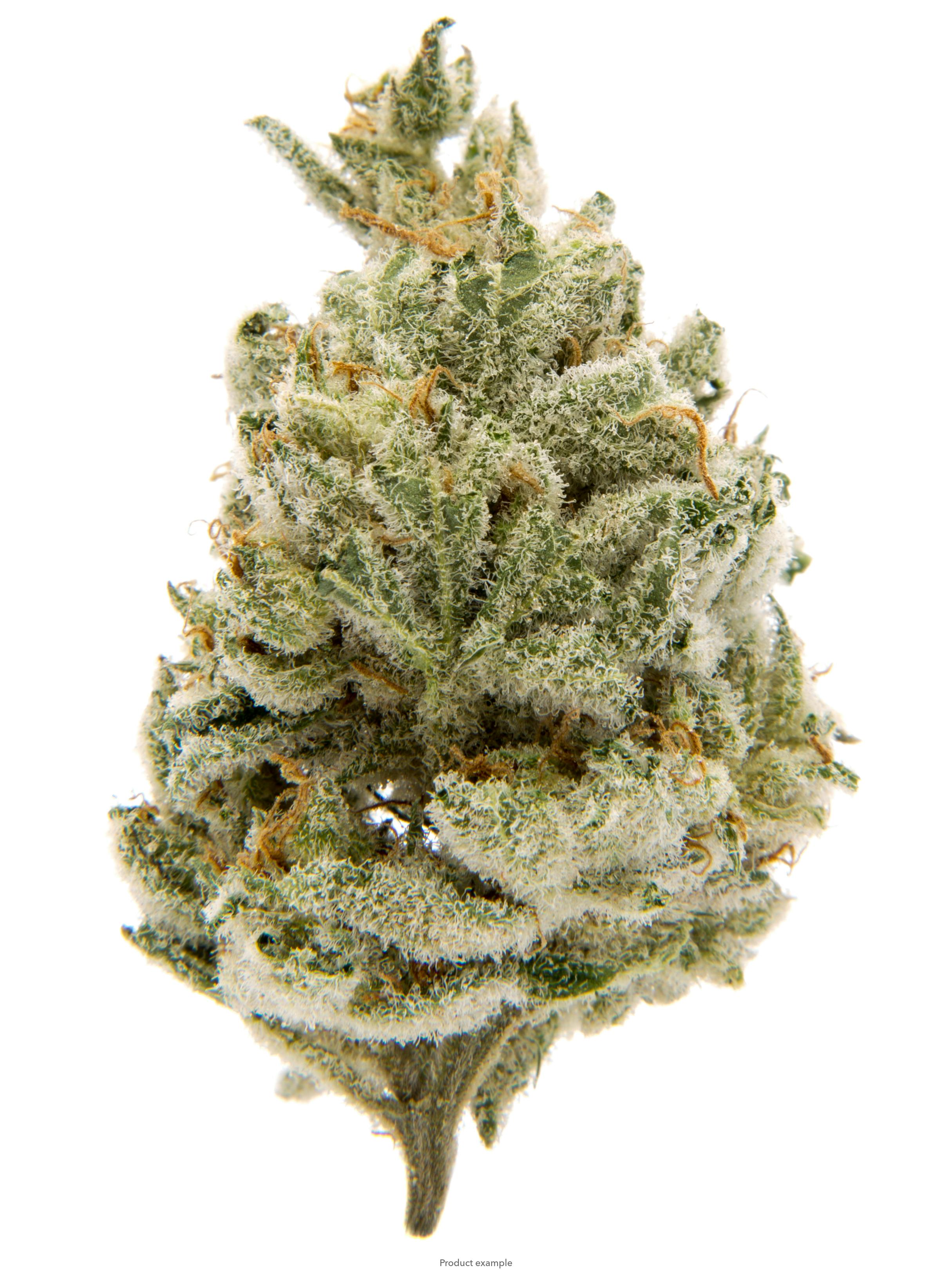 Sour Michigan | Smalls | 1g by Sozo