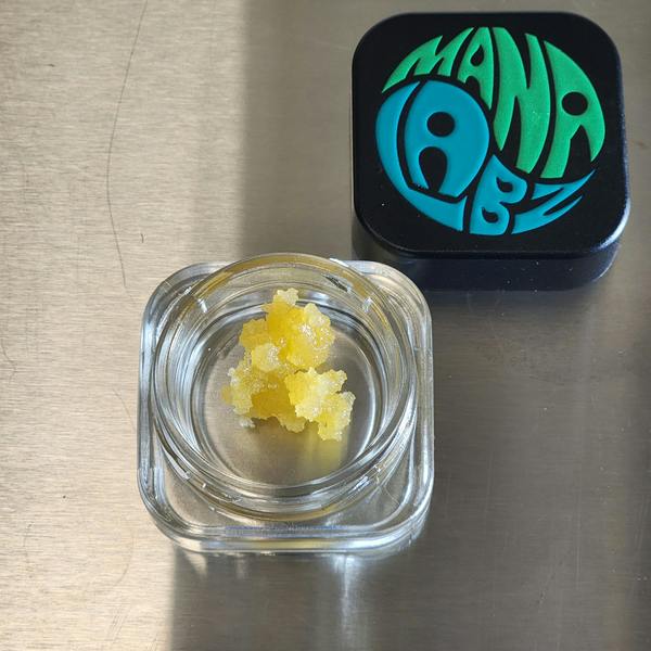 Govern Mint Oasis X Chi | Mana Labz at Great Lakes Kush