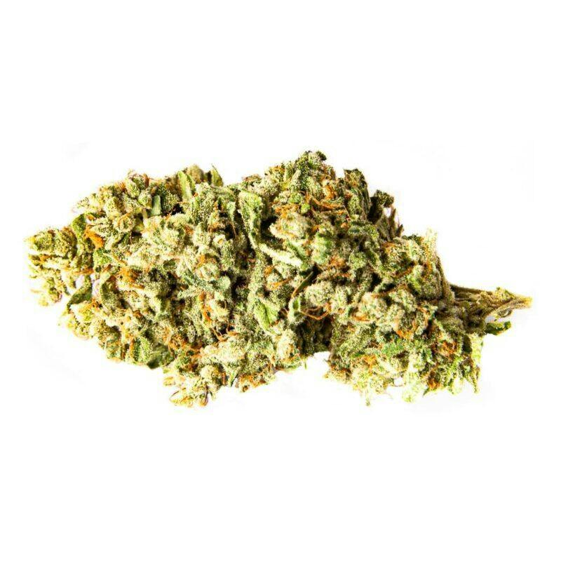 Ghost Train Haze | Bud Hub cannabis product