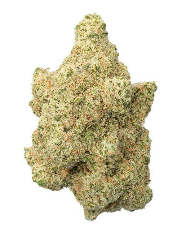 Super Turf | Bud Hub
