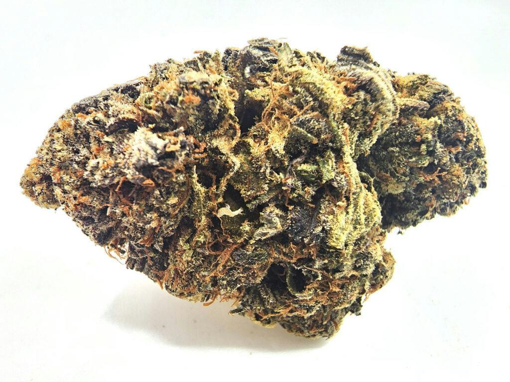 Stank Breath | Goodlyfe