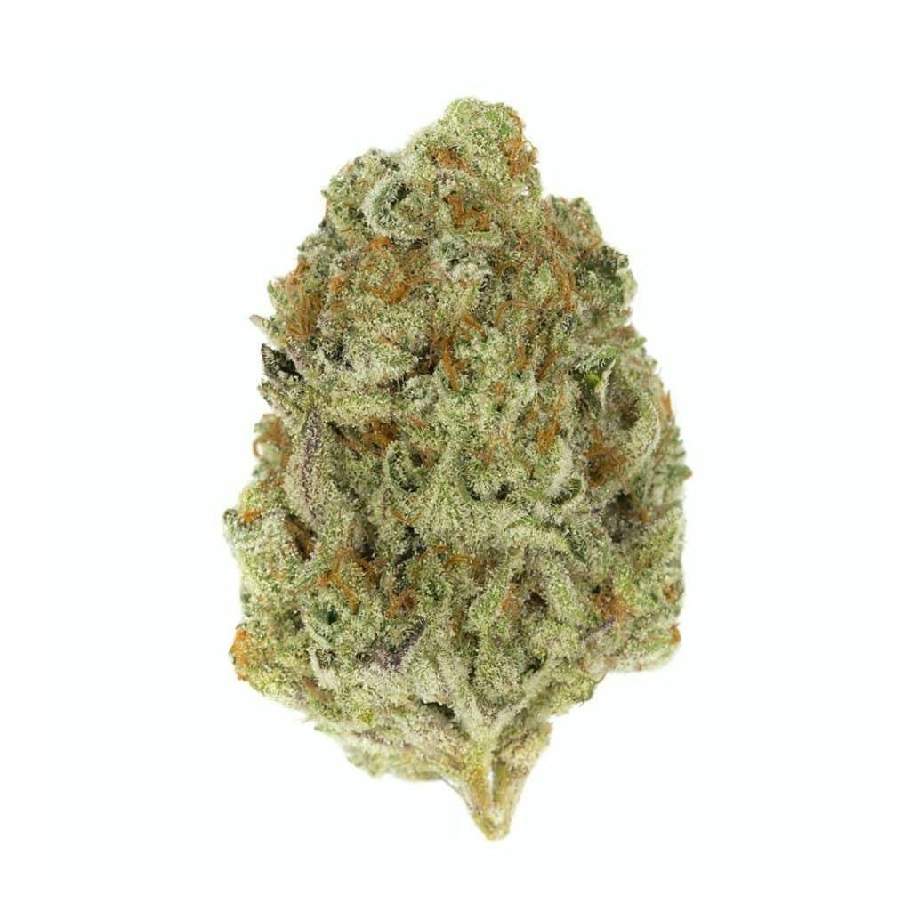 The Menthol | Sozo