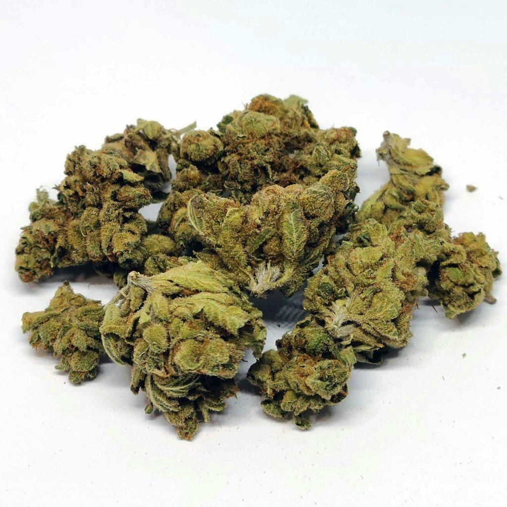 Moby Dick | Grip