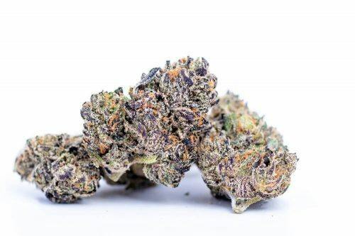 Lazer Bomb #5 Smalls | One Garden