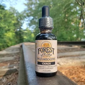 Chaga Double Extract Tincture - 1 fl. Oz