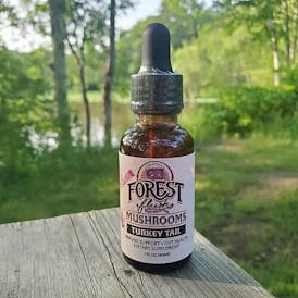 Turkey Tail Double Extract Tincture - 1 fl. Oz