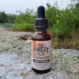 Lions Mane Double Extract Tincture - 1 fl. Oz