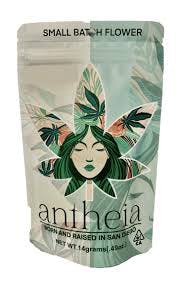 Antheia: Chair 9 Summit