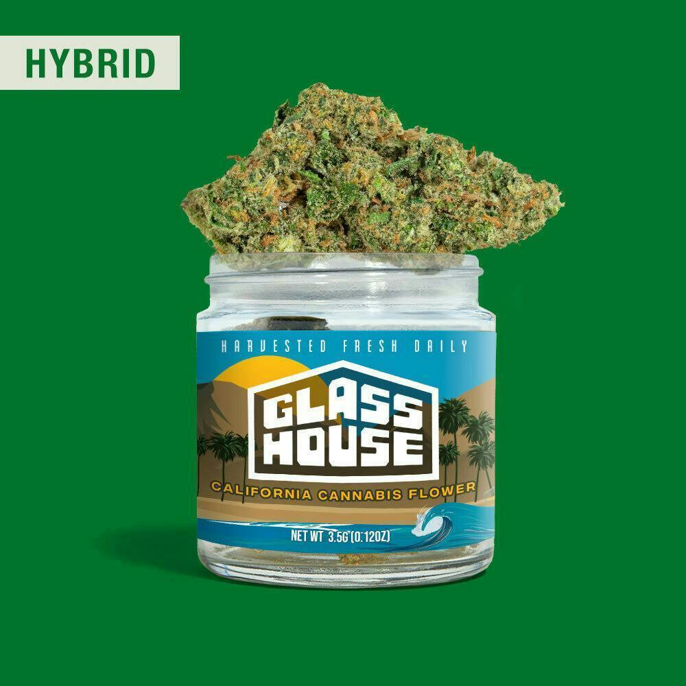 Glass House — Bolo Runtz