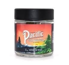 Pacific Cultivation — Zushi