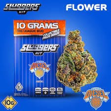 Sluggers Hit — NYC Diesel