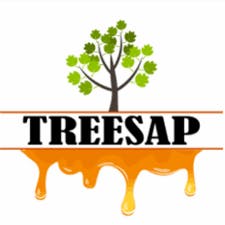 Treesap — Mimosa