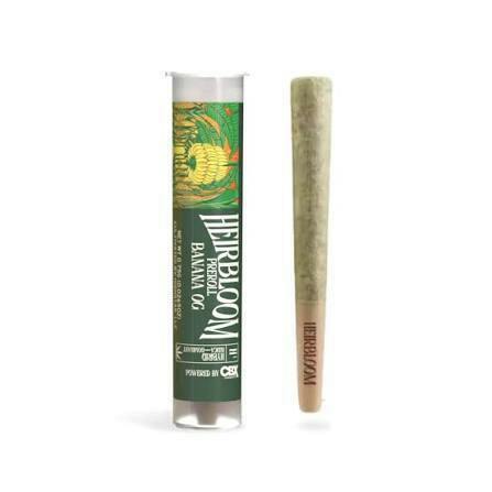 Banana OG Pre Roll