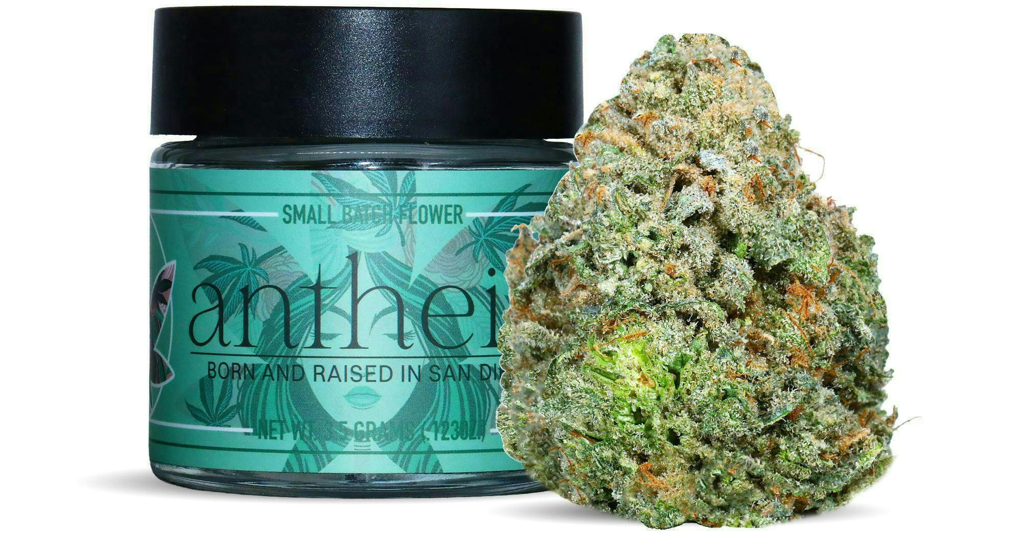 Antheia | Wabash Hall 1904 | Indica | 3.5g