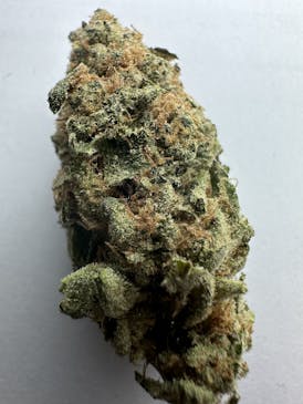 GMO CAKE | FLOWER