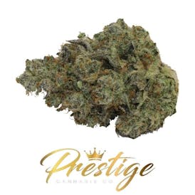 3 ~ EXCLUSIVE | TRUFFLE CAKE - INDICA DOM