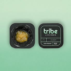 TRIBE LIVE RESIN SUGAR | CELESTIAL SHERB - HYBRID (1G)